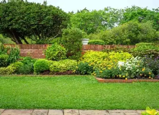 landscaping services Orchard Homes